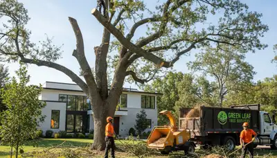Professional landscaping team trimming trees in Burlington, NC for Chop Chop Tree services