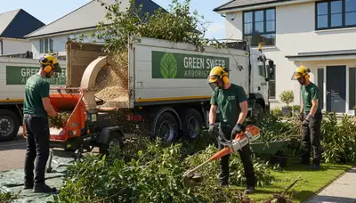 Professional shrub removal service in Burlington NC by Chop Chop Tree experts