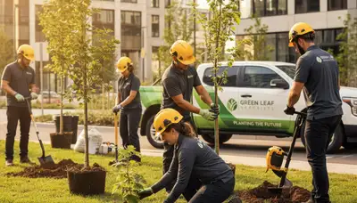 Arborist planting young tree in Burlington, NC yard for Chop Chop Tree planting service