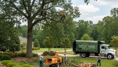 Professional tree removal service in Burlington NC clearing large oak safely